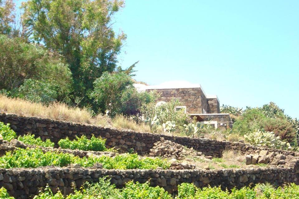Sull'Arco Dell'Elefante Villa Tracino Luaran gambar